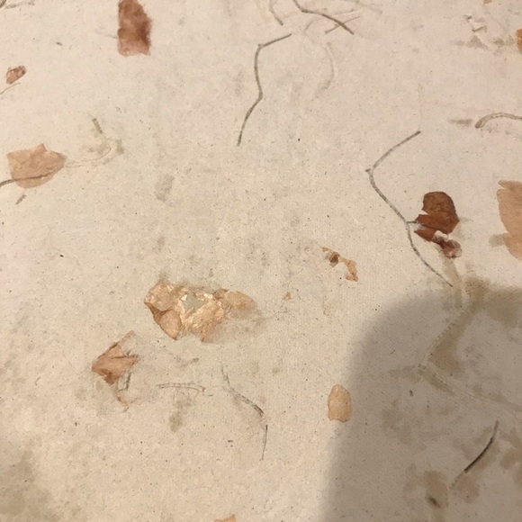 HANDMADE PHOTO ALBUM, SCRAPBOOK OR JOURNAL WITH HANDMADE PAPER - Picture 10 of 16